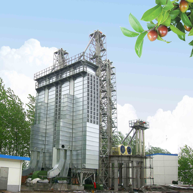 糧食烘干機齒輪減速馬達案例